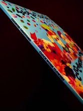 Album sleeve with spine