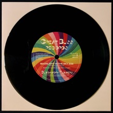 Bio Vinyl 7" Record