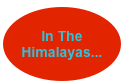 
In The Himalayas...